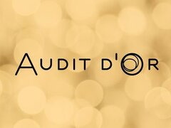 Audit D'or - Servicii de audit intern, audit financiar